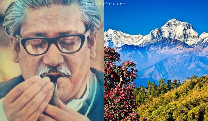 যে কারণে হিমালয়ের গাজা সেবন করতেন বঙ্গবন্ধু শেখ মুজিবুর রহমান।